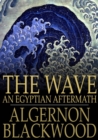 Image for The Wave: An Egyptian Aftermath