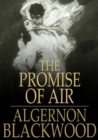Image for Promise of Air