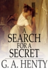 Image for A Search For A Secret: A Novel