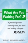Image for What are you waiting for?: a practical guide to knowing what you want and making it happen ... NOW