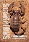 Image for Scorpions of Southern Africa