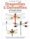 Image for Guide to the Dragonflies &amp; Damselflies of South Africa