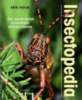 Image for Insectopedia – The secret world of southern African insects