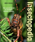 Image for Insectopedia: The secret world of southern African insects