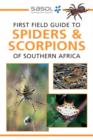 Image for Sasol First Field Guide to Spiders &amp; Scorpions of Southern Africa