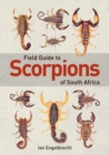Image for Field Guide to Scorpions of South Africa