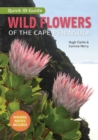 Image for Wild Flowers of the Cape Peninsula - Quick ID Guide