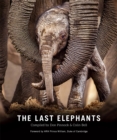 Image for Last Elephants