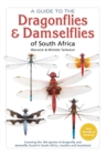 Image for Field Guide to Dragonflies and Damselflies