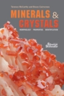 Image for Minerals &amp; Crystals: Morphology - Properties - Identification