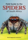 Image for Field Guide to the Spiders of South Africa