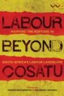 Image for Labour beyond Cosatu: mapping the rupture in South Africa&#39;s labour landscape