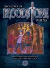 Image for The Secret of Bloodstone Ruins