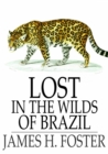 Image for Lost in the Wilds of Brazil