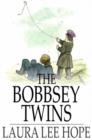 Image for The Bobbsey Twins: Or, Merry Days Indoors and Out