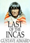Image for Last of the Incas: A Romance of the Pampas