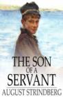 Image for The Son of a Servant