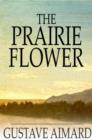 Image for The Prairie Flower: A Tale of the Indian Border