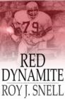Image for Red Dynamite: A Mystery Story for Boys