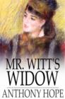 Image for Mr. Witt&#39;s Widow: A Frivolous Tale