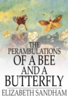 Image for Perambulations of a Bee and a Butterfly: In Which Are Delineated Those Smaller Traits of Character Which Escape the Observation of Larger Spectators
