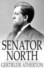 Image for Senator North