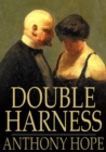 Image for Double Harness: Epub