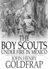 Image for The Boy Scouts Under Fire in Mexico