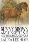 Image for Bunny Brown and His Sister Sue and Their Shetland Pony