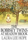Image for The Bobbsey Twins at Meadow Brook