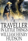 Image for A Traveller in Little Things
