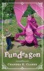 Image for Pundragon