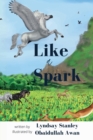 Image for Like a Spark