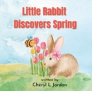 Image for Little Rabbit Discovers Spring