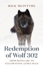 Image for The Redemption of Wolf 302 : From Renegade to Yellowstone Alpha Male