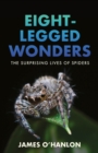 Image for Eight-Legged Wonders : The Surprising Lives of Spiders
