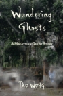 Image for Wandering Ghosts
