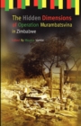 Image for The Hidden Dimensions of Operation Murambatsvina