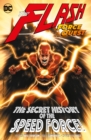Image for Flash Volume 10