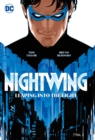 Image for Nightwing Vol.1: Leaping into the Light