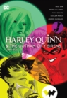 Image for Harley Quinn &amp; The Gotham City Sirens Omnibus (2022 Edition)