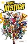 Image for Young Justice Book Six