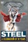 Image for Steel: A Celebration of 30 Years