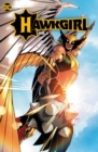 Image for Hawkgirl: Once Upon a Galaxy