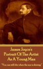 Image for Portrait Of The Artist As A Young Man