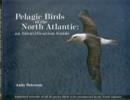 Image for Pelagic Birds Of The North Atlantic : An Identification Guide