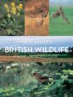 Image for Nick Baker&#39;s British wildlife