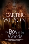 Image for The boy in the woods