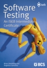 Image for Software testing: an ISEB intermediate certificate