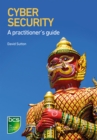Image for Cyber security: a practitioner&#39;s guide